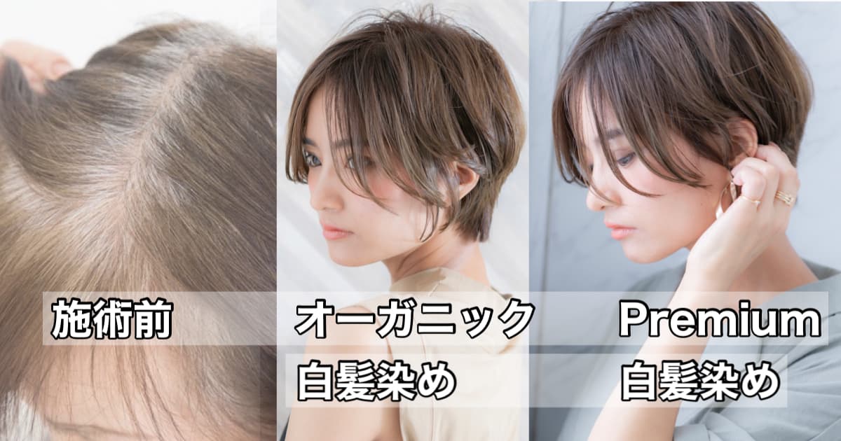 白髪染め 白髪ぼかし 最新の髪質改善 口コミで人気の美容室ローマ 自由が丘駅 銀座 白髪染め 白髪ぼかし 最新の髪質改善 口コミで人気の美容室ローマ 自由が丘駅 銀座